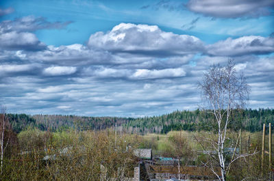 Scenic view of forest against cloudy sky