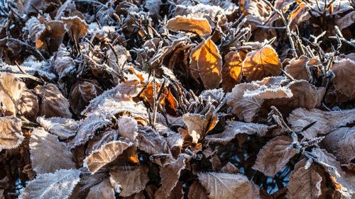 Full frame shot of snow