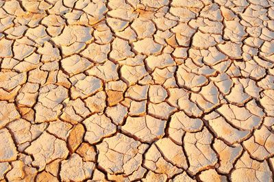 Full frame shot of cracked land