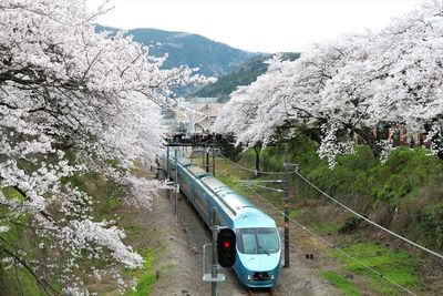 High angle view of a train in japan