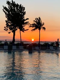 Silhouette palm trees by swimming pool against sky during sunset