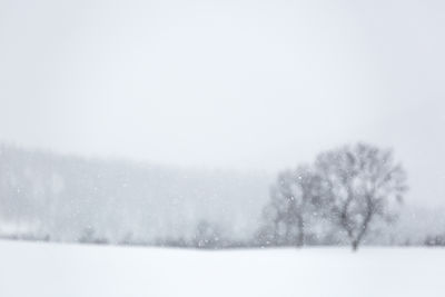 Scenic view of snow covered landscape