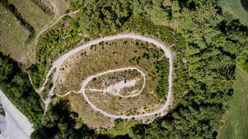 High angle view of road amidst trees