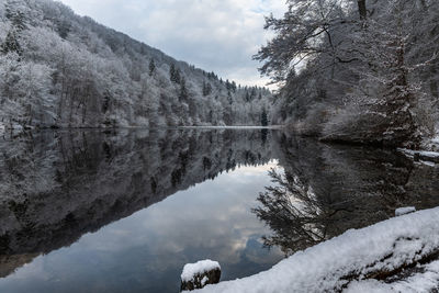 Reflection of trees in lake against sky during winter