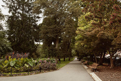 Footpath amidst trees in park