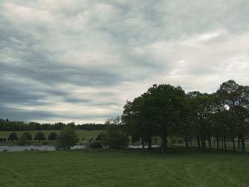 Trees on landscape against sky