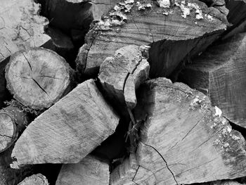 Full frame shot of logs in forest