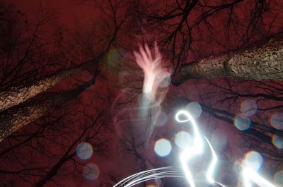 Low angle view of bare trees at night