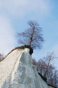 Low angle view of bare trees on mountain against sky at jasmund national park