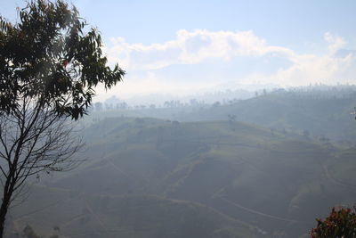 Scenic view of landscape against sky