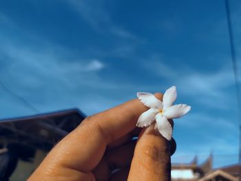 Close-up of hand holding flower against sky