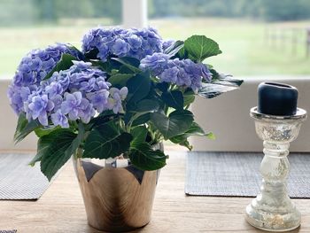 Close-up of flower pot on table