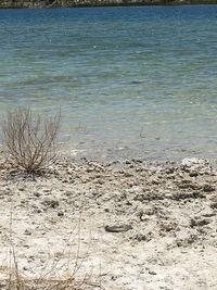 High angle view of sea shore