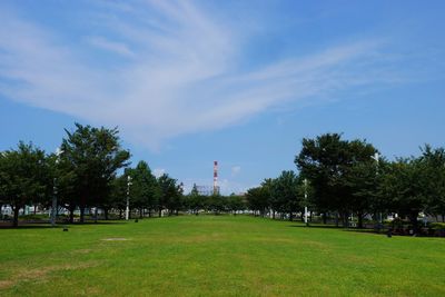 Trees in park against sky