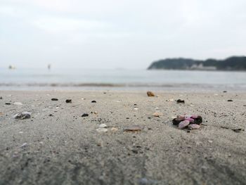 Close-up of pebbles on beach against sky