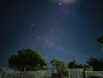 Low angle view of trees against sky at night