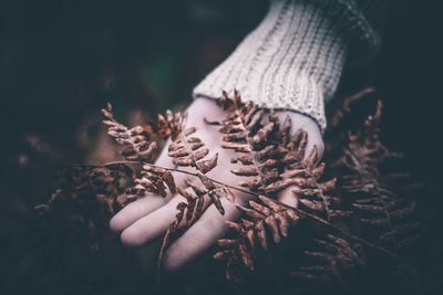 Low section of person holding plant