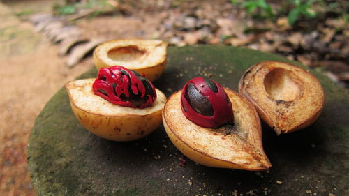 Close-up of pear with nutmeg on tree stump