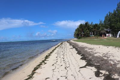 Scenic view of beach against blue sky