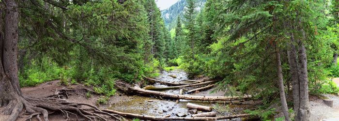 Waterfall mountain views hiking trails doughnut falls big cottonwood canyon wasatch front utah