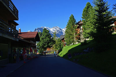 Road amidst trees and buildings against sky