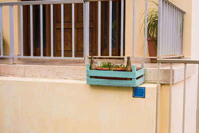 Potted plant on window of building