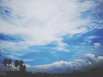 Low angle view of palm trees against blue sky