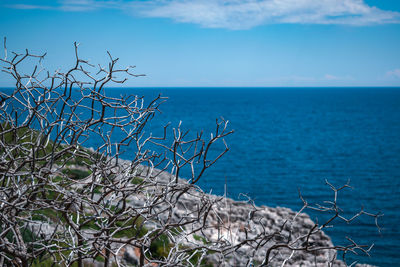 View on the sea in puglia