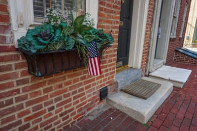 Potted plant on window of building