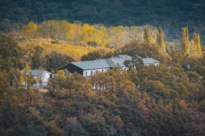 High angle view of trees by house in forest