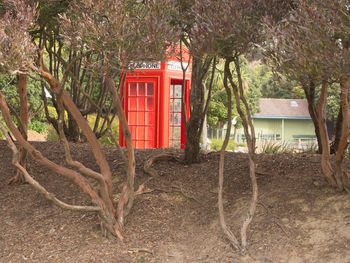 Red telephone booth by trees on field