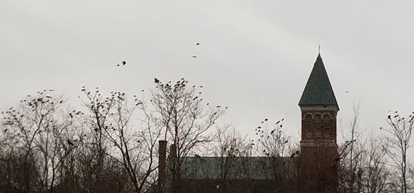 Birds flying over cross against sky during winter