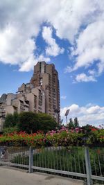 Low angle view of flowering plants by building against sky