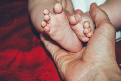 Legs of four-month-old baby daughter in male palm of father on red background