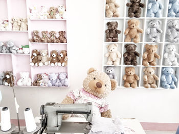 Teddy bears on shelves for sale in store