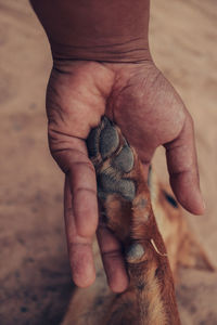 Close-up of man holding hands