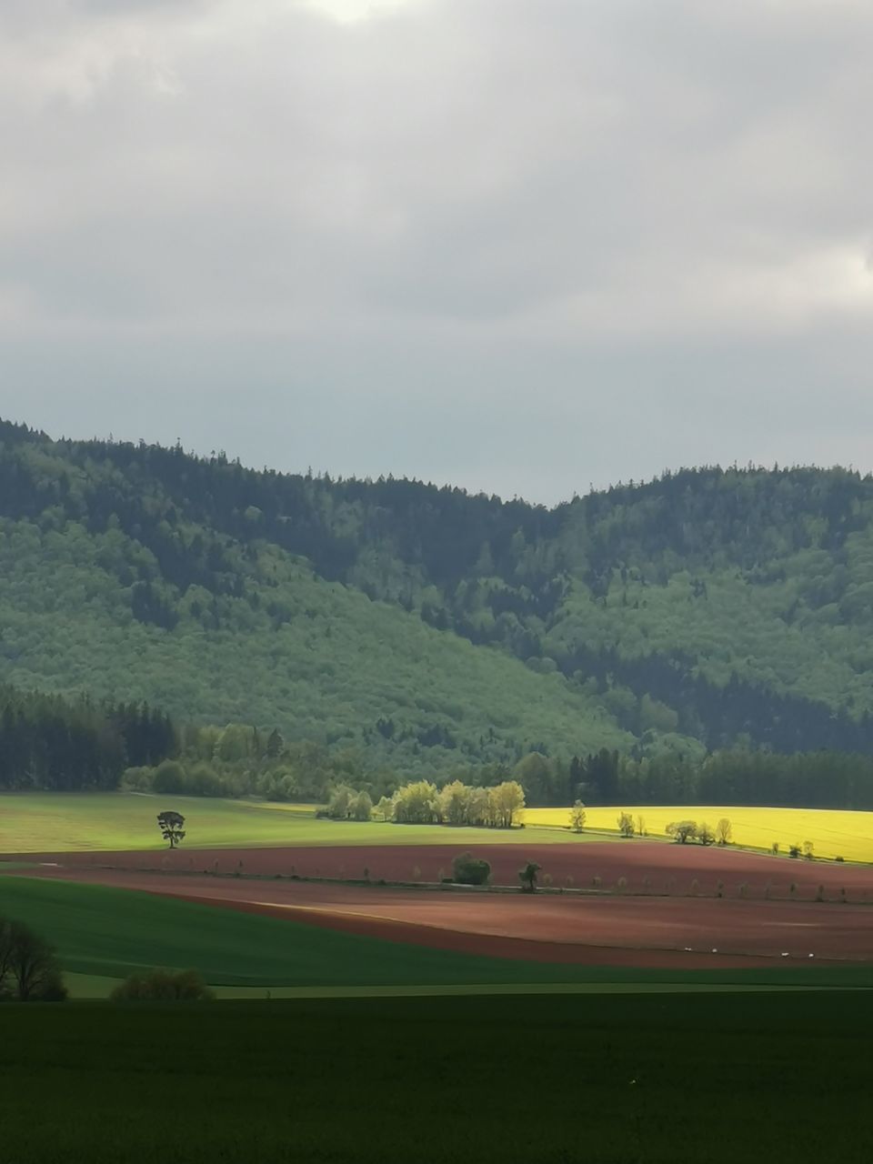 SCENIC VIEW OF LAND AND TREES AGAINST SKY