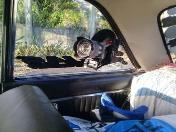 Man photographing through car window