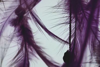 Low angle view of tree against sky