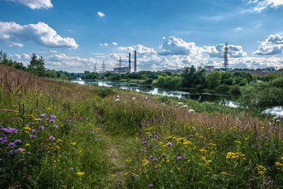 Blooming bank on the uvod river on a sunny summer day, the city of ivanovo, russia.