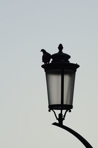 Low angle view of silhouette bird perching on street light