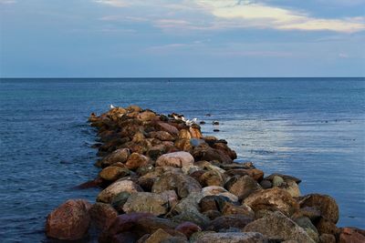 Rocks on sea shore against sky