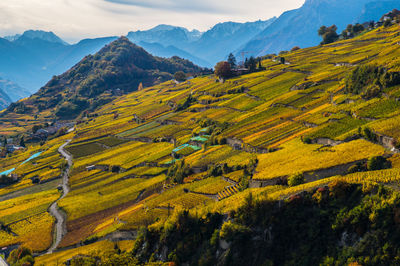 Scenic view of agricultural field by mountains against sky