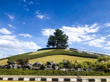Trees on field against sky