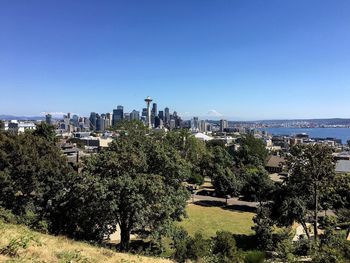 Trees and cityscape against clear blue sky