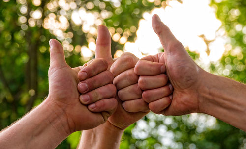 Cropped image of people showing thumbs up