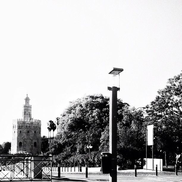 clear sky, tree, street light, building exterior, architecture, built structure, copy space, road, low angle view, street, road sign, sky, lamp post, city, lighting equipment, outdoors, tower, day, no people, pole