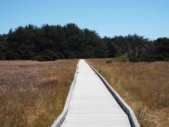 Boardwalk amidst trees on field against clear sky