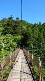 Footbridge amidst trees in forest against clear sky