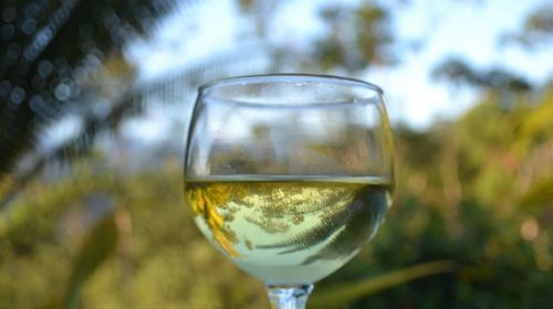 Close-up of wineglass